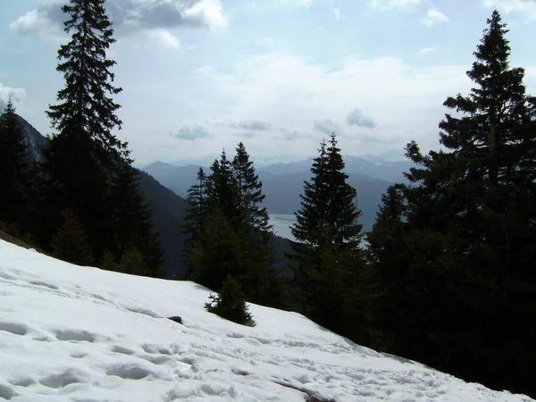 Lake Walchensee Från Herzogstand Berg Bayern Tyskland Wintertim — Stockfoto