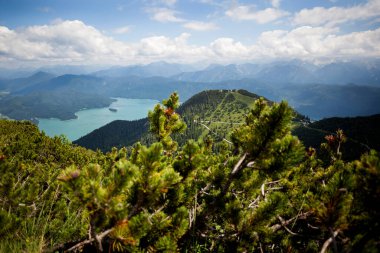 Herzogstand dağında panorama manzaralı bir gezi; Bavyera, Almanya