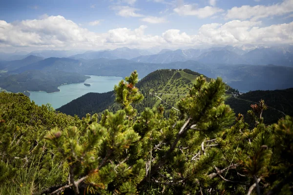 Trail Tour Bij Herzogstand Berg Met Panoramisch Uitzicht Bavaria Duitsland — Stockfoto