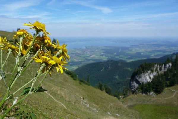 Bergwanderung Zum Hochgern Bayern Deutschland — Stockfoto