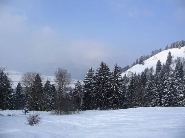 Zimní Horská Túra Hornle Mountains Bavorsko Německo — Stock fotografie