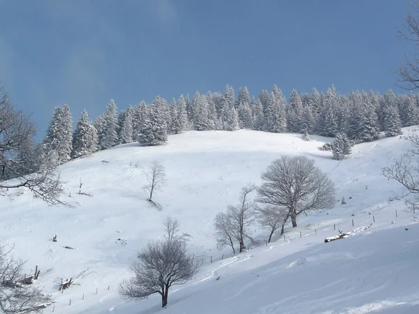 Randonnée Hivernale Dans Les Montagnes Hornle Bavière Allemagne — Photo