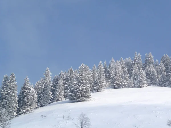 ドイツ バイエルン州ホーン山への冬の山のツアー — ストック写真