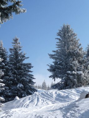 Hornle dağlarına kış turu, Bavyera, Almanya