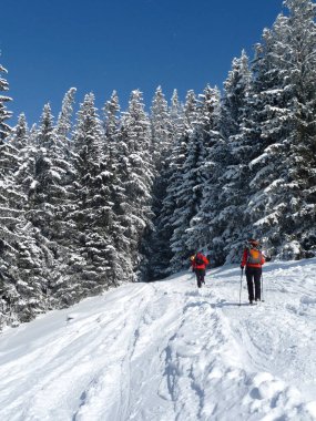 Hornle dağ turunda yürüyüşçü, Bavyera, Almanya
