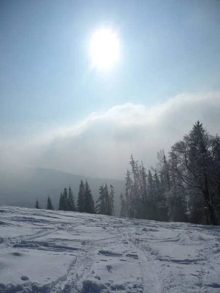 Escursione Invernale Montagna Hornle Mountains Baviera Germania — Foto Stock