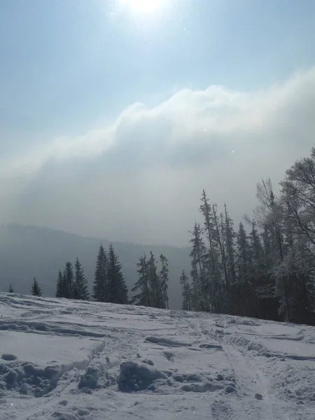 Escursione Invernale Montagna Hornle Mountains Baviera Germania — Foto Stock