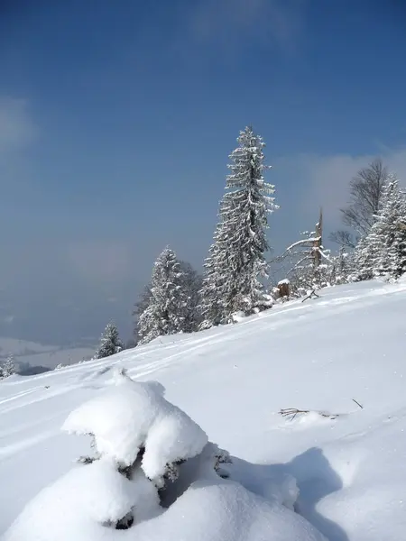 Winter Mountain Tour Hornle Mountains Bajorország Németország — Stock Fotó