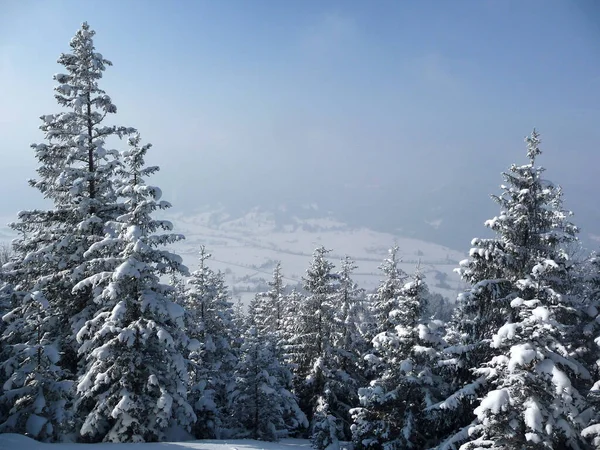 Escursione Invernale Montagna Hornle Mountains Baviera Germania — Foto Stock