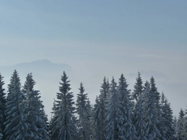 Escursione Invernale Montagna Hornle Mountains Baviera Germania — Foto Stock