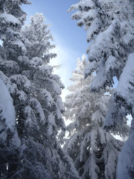 Hornle dağlarına kış turu, Bavyera, Almanya