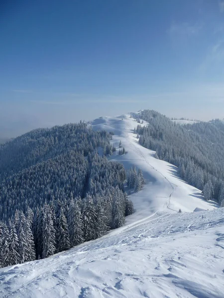 Zimowa Wycieczka Góry Hornle Bawaria Niemcy — Zdjęcie stockowe