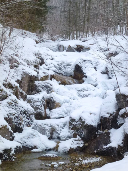 Randonnée Hivernale Montagne Dans Les Montagnes Hornle Bavière Allemagne — Photo