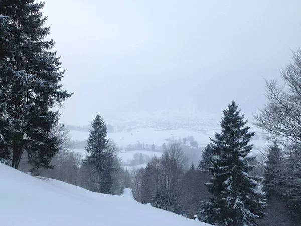 Excursión Senderismo Invierno Las Montañas Hornle Baviera Alemania — Foto de Stock