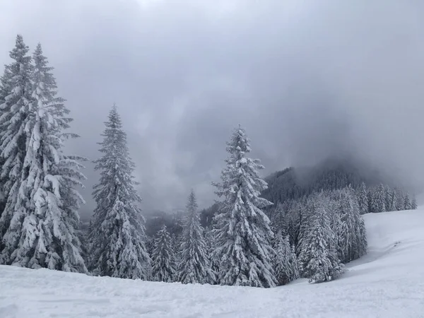 Escursione Invernale Montagna Hornle Mountains Baviera Germania — Foto Stock