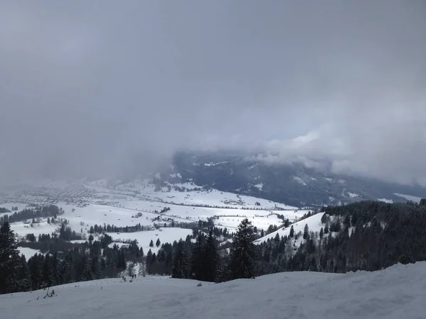 Hornle Dağlarına Kış Turu Bavyera Almanya — Stok fotoğraf