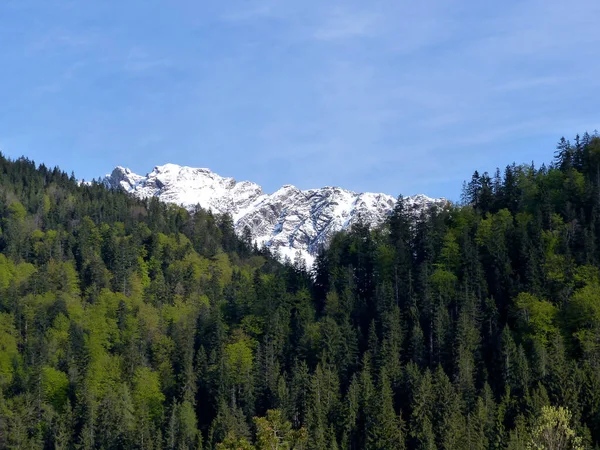 Гірський Тур Hoher Ziegspitz Bavaria Germany — стокове фото