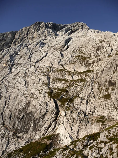 Yaz Zamanı Almanya Nın Bavyera Eyaletinde Jubilaeumsgrat Tepesinde Dağ Yürüyüşü — Stok fotoğraf