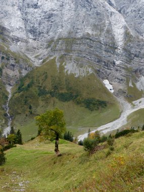 Grosser Ahornboden, Karwendel dağlarındaki doğa abidesi, Tyrol, Avusturya