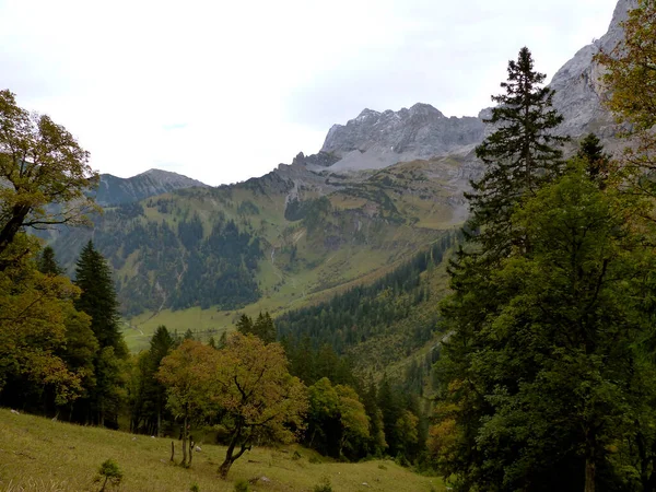 Grosser Ahornboden Nature Monument Karwendel Mountains Tyrol Austria — Stock fotografie