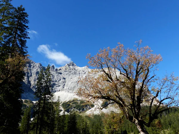 グロッサーAhornboden Karwendel山の自然記念碑 チロル オーストリア — ストック写真