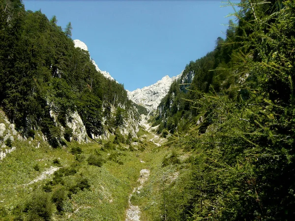 Mittenwald Almanya Nın Bavyera Alplerinde Yaz Mevsiminde Ferrata Yoluyla — Stok fotoğraf