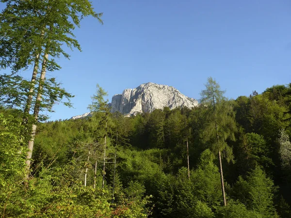 Ferrata Górze Berchtesgadener Hochthron Bawaria Niemcy Wiosną — Zdjęcie stockowe