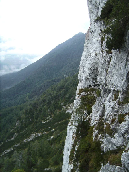 秋には ドイツのバイエルン州チエンガウのフェラタ登山ルートを経由してパイディング — ストック写真