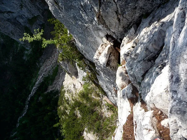 Ferrata Lac Haute Montagne Seebensee Montagne Zugspitze Tyrol Autriche Été — Photo