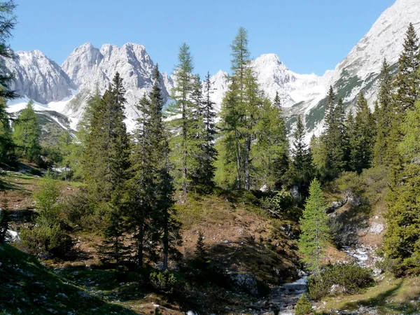 여름에는 오스트리아 Zugspitze 페라타 — 스톡 사진