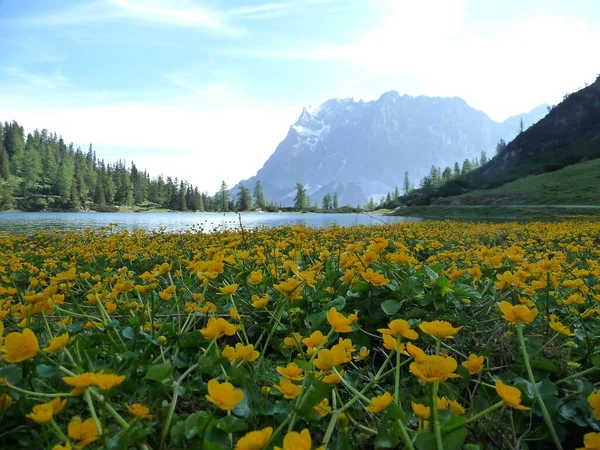 Klettersteige Seebensee Zugspitze Tirol Österreich Sommer — Stockfoto