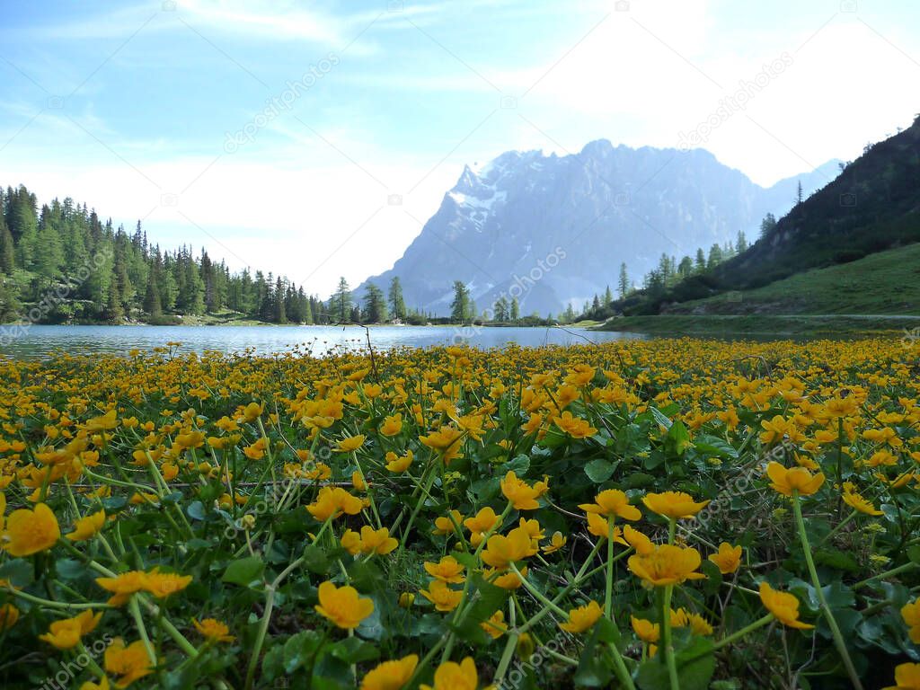 Via ferrata at high mountain lake Seebensee, Zugspitze mountain, Tyrol, Austria in summertime