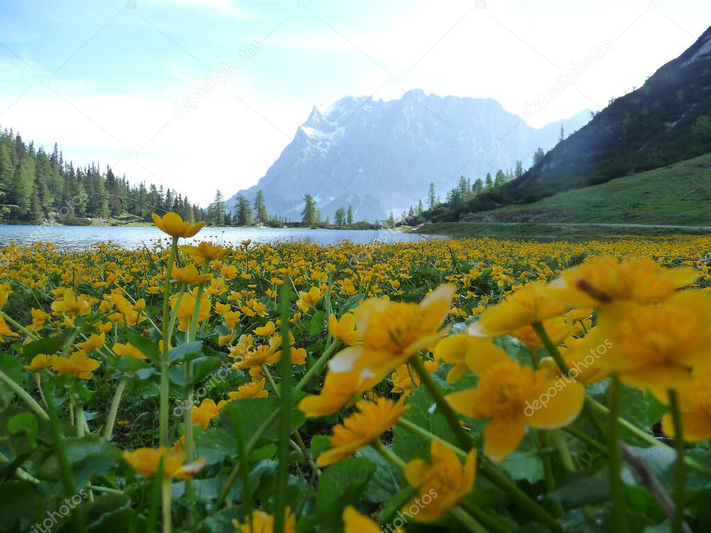 Via ferrata at high mountain lake Seebensee, Zugspitze mountain, Tyrol, Austria in summertime