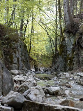 Bavyera, Almanya 'da Lainbach şelaleleri