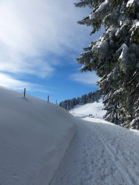 Randonnée Hivernale Vers Montagne Seekarkreuz Cabane Lengrieser Bavière Allemagne — Photo