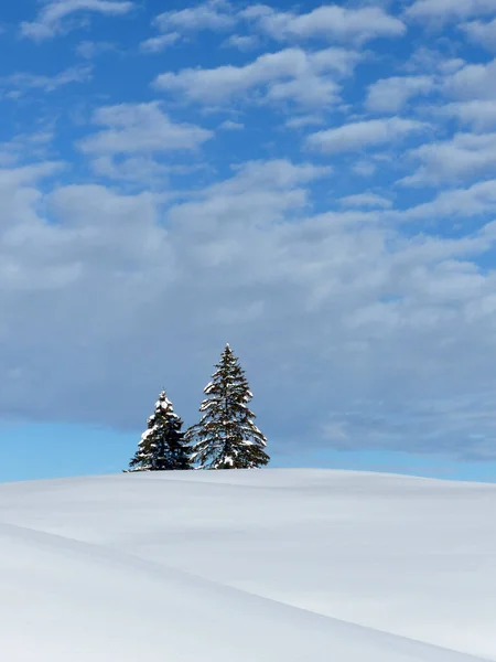 Winter Hiking Tour Seekarkreuz Mountain Lengrieser Hut Bavaria Germany — Stock Photo, Image