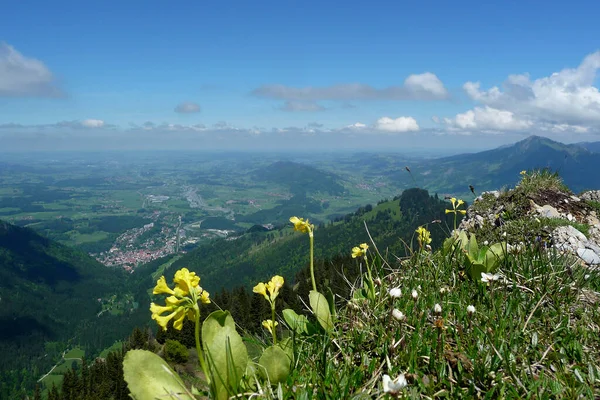 Panorama Excursión Nagelfluhkette Baviera Alemania —  Fotos de Stock