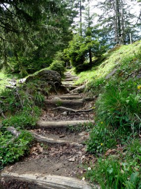 Panorama yürüyüş turu Nagelfluhkette, Bavyera, Almanya