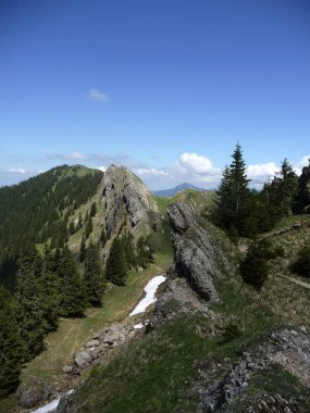 Panorama yürüyüş turu Nagelfluhkette, Bavyera, Almanya