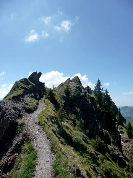 Panorama Hiking Tour Nagelfluhkette Bavaria Germany — Stock Photo, Image