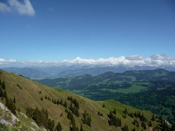 Panorama Yürüyüş Turu Nagelfluhkette Bavyera Almanya — Stok fotoğraf