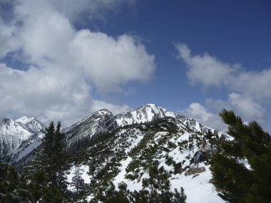 Ochsensitz ve Ziegelspitze dağ turu; Bavyera, Almanya