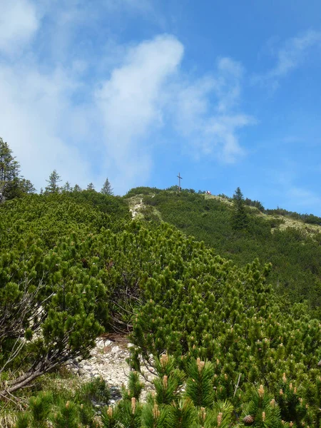 サミットクロスZiegelspitz山 Ammergau Alps ドイツ — ストック写真