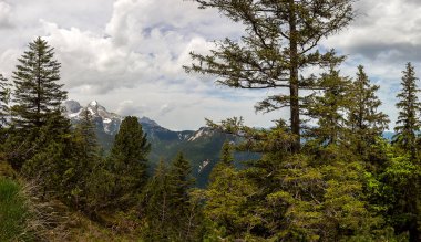 Yaz mevsiminde Almanya 'nın Bavyera Alpleri' ndeki Schachen Kalesi 'ne yürüyüş panoraması