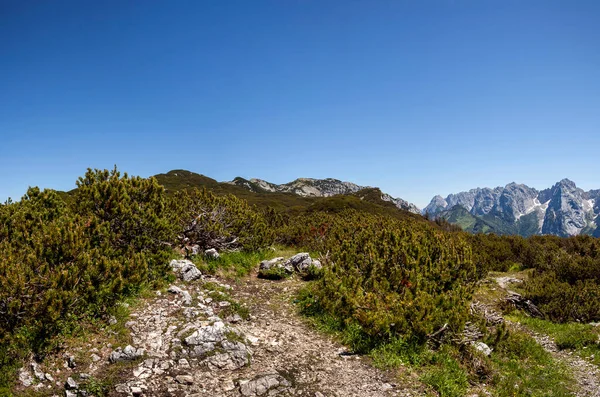 Πανόραμα Άποψη Από Βουνό Peterskoepfl Kaisergebirge Και Pyramidenspitze Βουνό Στο — Φωτογραφία Αρχείου