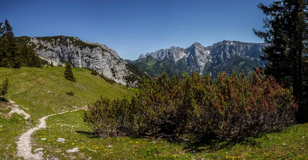 Πανόραμα Άποψη Από Βουνό Peterskoepfl Kaisergebirge Στο Τιρόλο Αυστρία Καλοκαίρι — Φωτογραφία Αρχείου