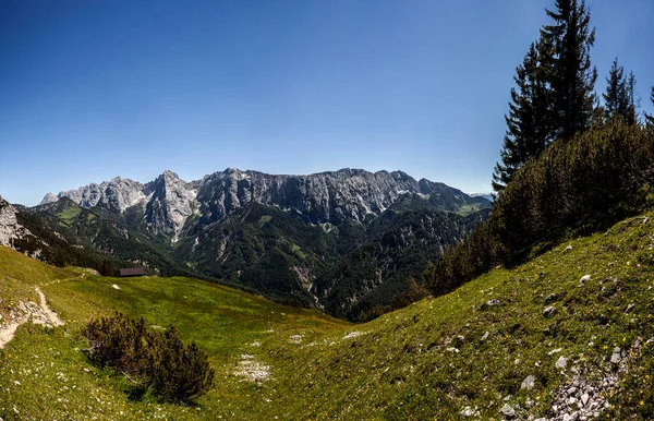 Panorama Utsikt Från Berget Peterskoepfl Till Kaisergebirge Tyrolen Österrike Sommaren — Stockfoto