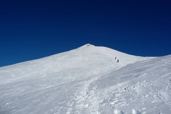 Гора Плейзеншпитце Карвендель Австрия Зима — стоковое фото