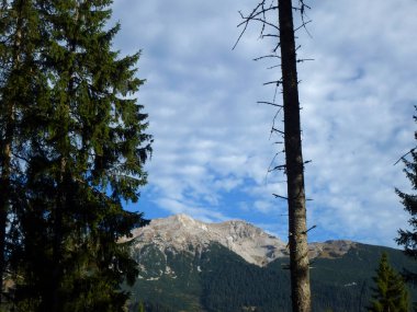Pleisspitze dağına yürüyüş turu, Tyrol, Avusturya