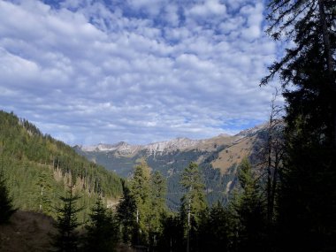Pleisspitze dağına yürüyüş turu, Tyrol, Avusturya